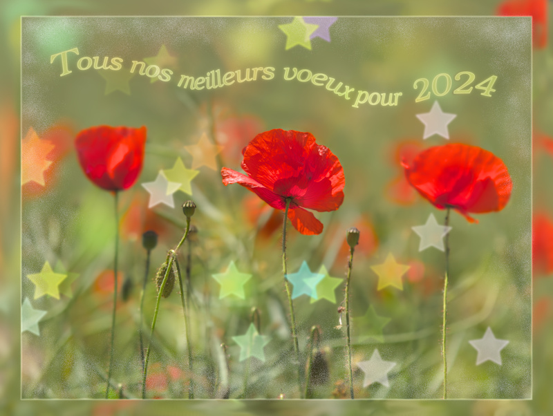 meilleurs voeux pour 2024