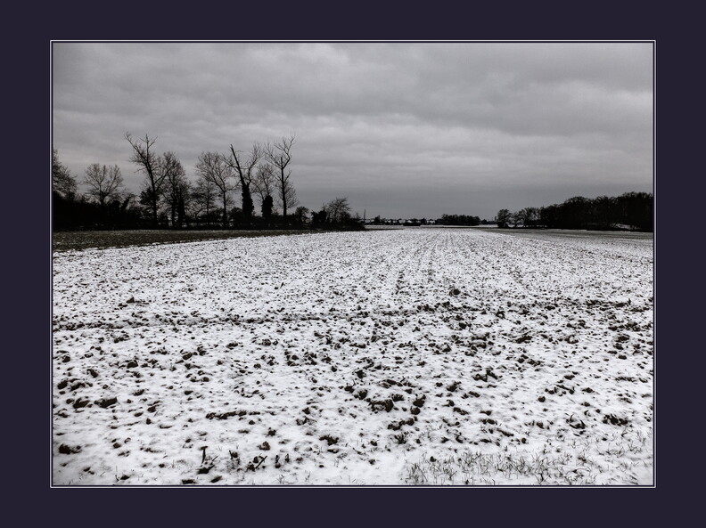 DSCF2263.jpg