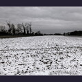 DSCF2263